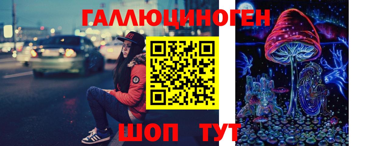 Псилоцибиновые грибы мицелий  Псилоцибиновые грибы Cubensis  Чита  Вход с VPN 