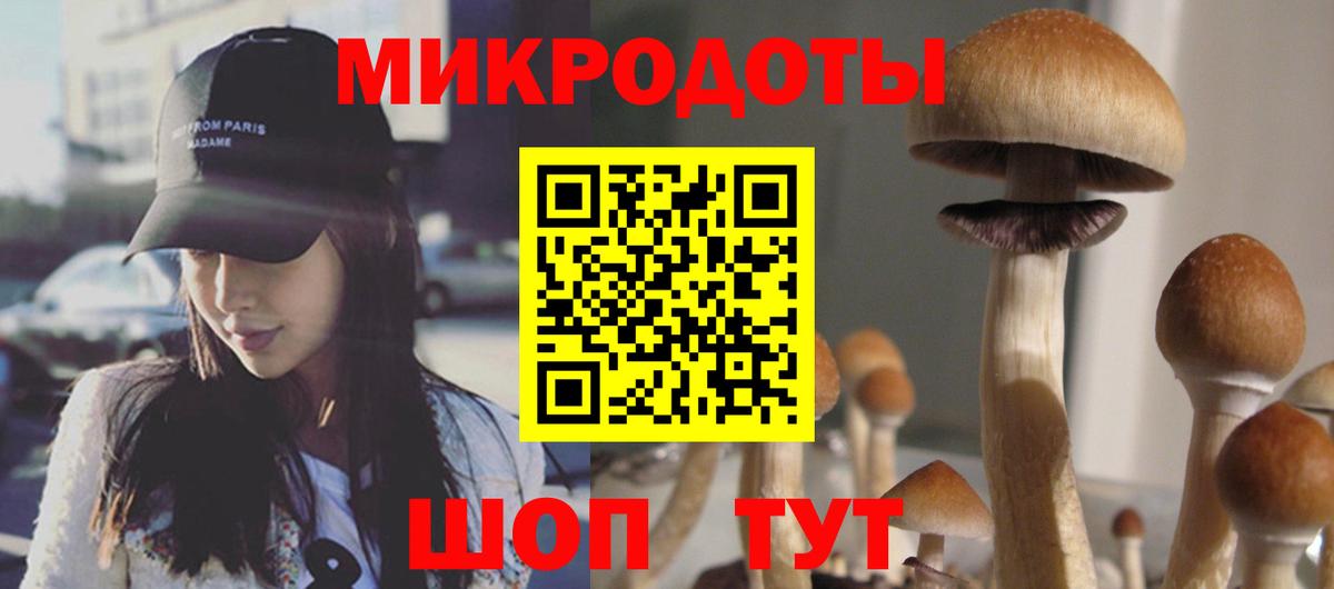 Псилоцибиновые грибы мицелий Чита